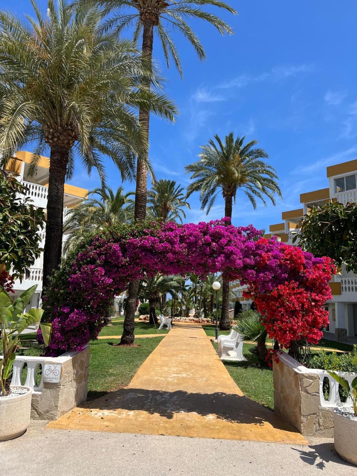 דניה Holiday Beach מראה חיצוני תמונה